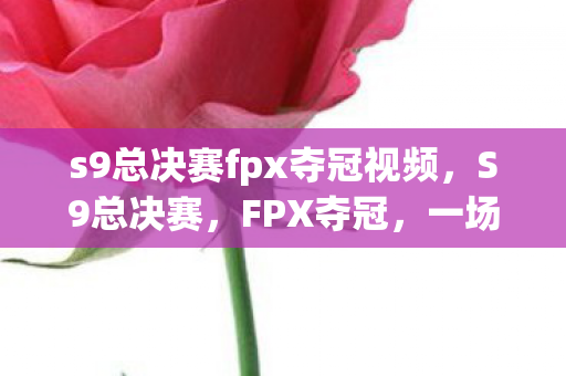 s9总决赛fpx夺冠视频图片