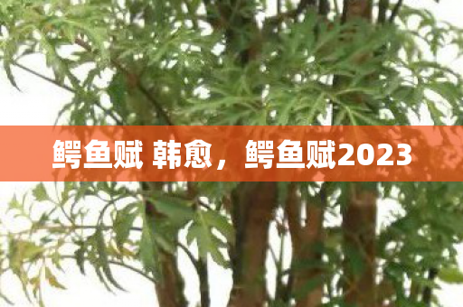 鳄鱼赋2023图片