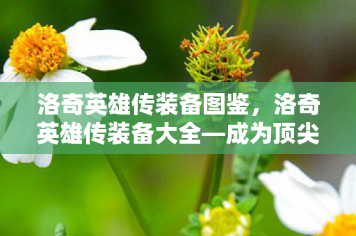 洛奇英雄传装备图鉴，洛奇英雄传装备大全—成为顶尖战士的必经之路