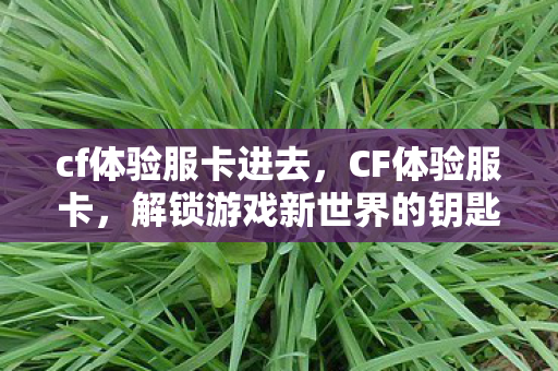 解锁游戏新世界的钥匙图片
