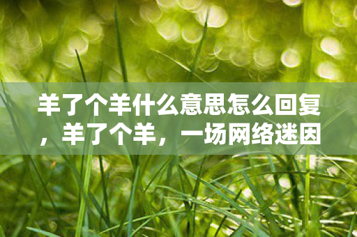 羊了个羊什么意思怎么回复图片