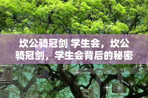 学生会背后的秘密与冒险图片