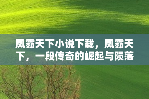 一段传奇的崛起与陨落图片