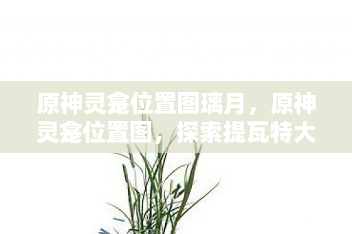 探索提瓦特大陆的神秘宝藏图片