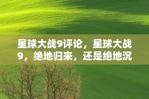 星球大战9评论图片