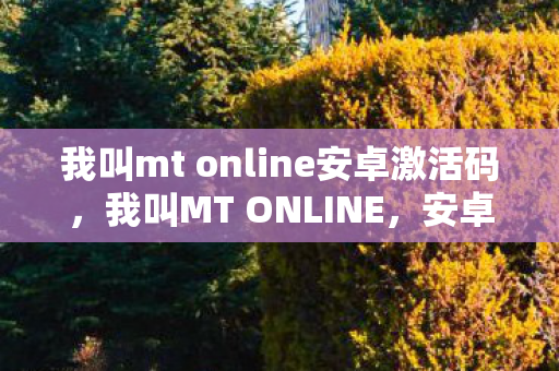 我叫mt online安卓激活码图片