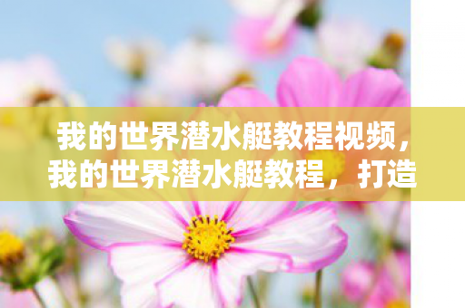 我的世界潜水艇教程视频图片