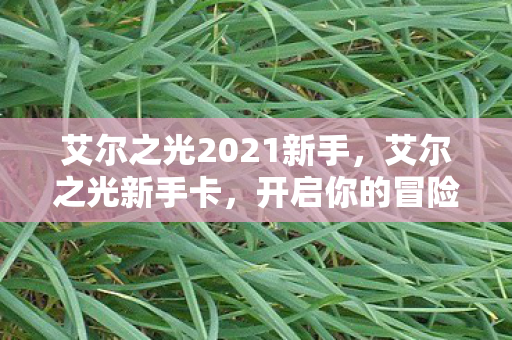 艾尔之光2021新手图片