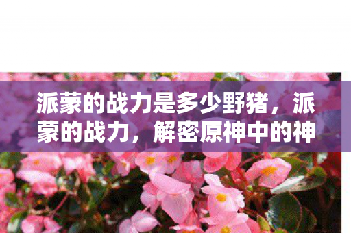 派蒙的战力是多少野猪图片