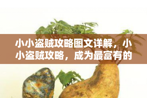 小小盗贼攻略图文详解图片