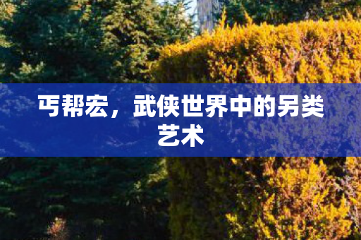 武侠世界中的另类艺术图片