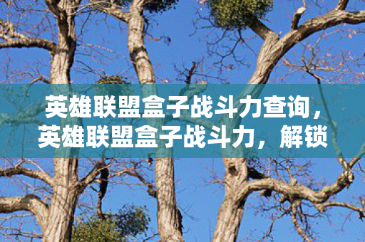 英雄联盟盒子战斗力查询图片