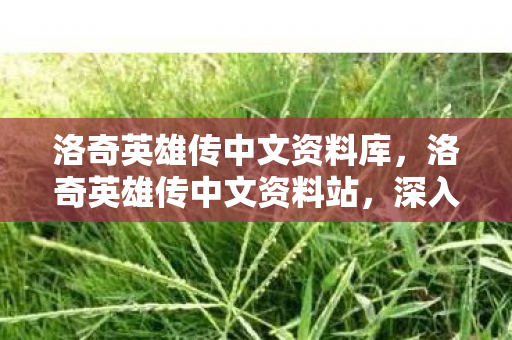 洛奇英雄传中文资料库，洛奇英雄传中文资料站，深入解析这款独特的动作角色扮演游戏