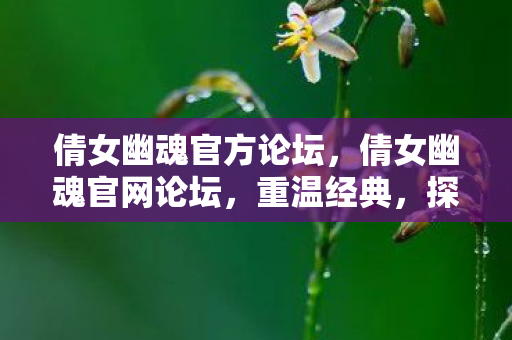 倩女幽魂官方论坛图片