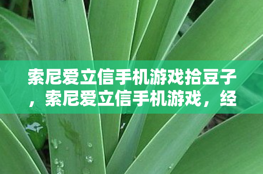 索尼爱立信手机游戏拾豆子图片