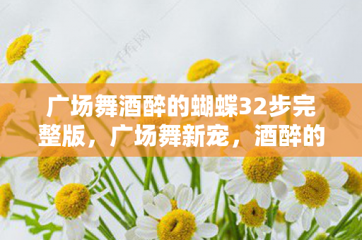 广场舞酒醉的蝴蝶32步完整版图片