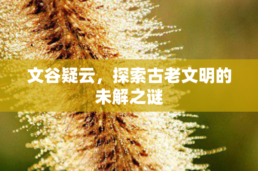 探索古老文明的未解之谜图片