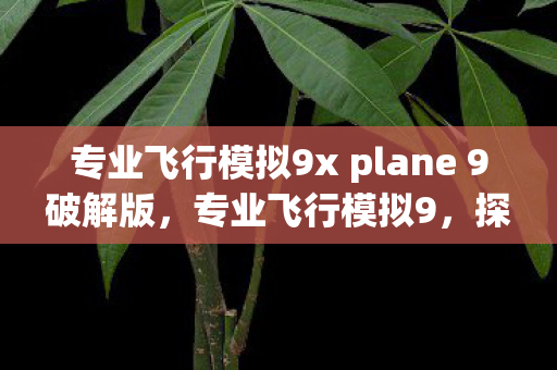 专业飞行模拟9x plane 9破解版图片