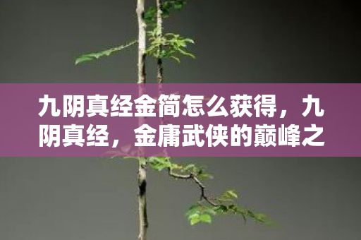 九阴真经金简怎么获得图片