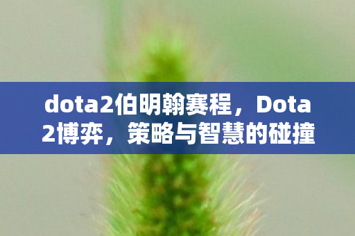 dota2伯明翰赛程图片