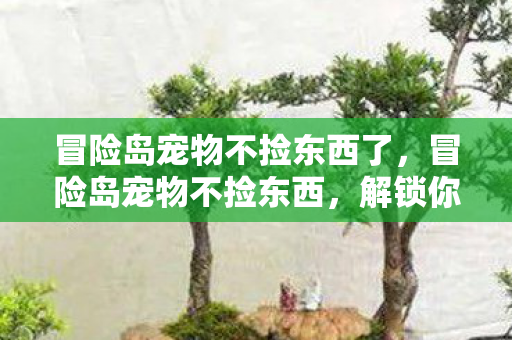 冒险岛宠物不捡东西了，冒险岛宠物不捡东西，解锁你的宠物新技能