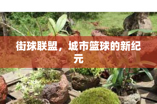 街球联盟，城市篮球的新纪元