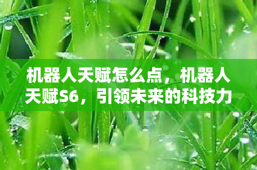 机器人天赋怎么点，机器人天赋S6，引领未来的科技力量
