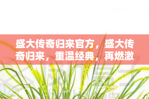 盛大传奇归来官方图片