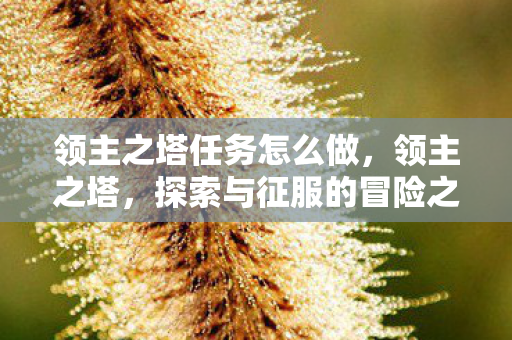 探索与征服的冒险之旅图片