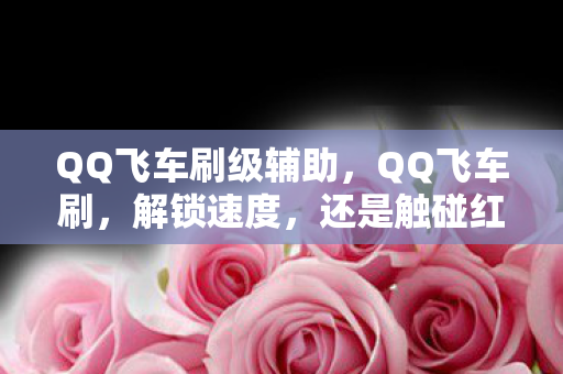 QQ飞车刷级辅助图片