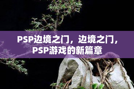 PSP游戏的新篇章图片