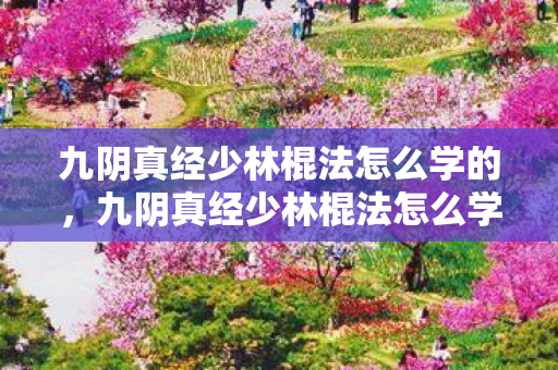 九阴真经少林棍法怎么学的图片