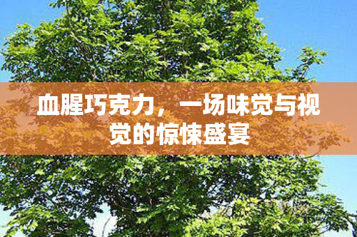 血腥巧克力，一场味觉与视觉的惊悚盛宴