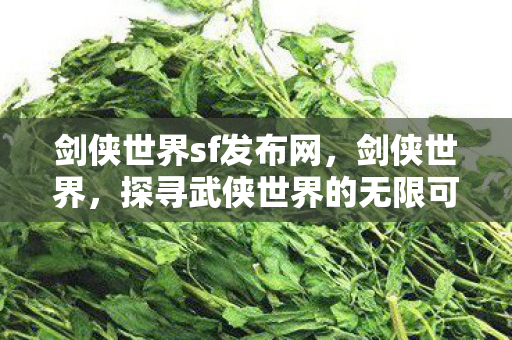 探寻武侠世界的无限可能图片