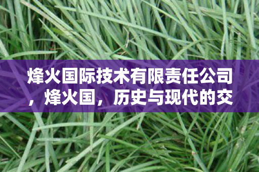 烽火国际技术有限责任公司图片