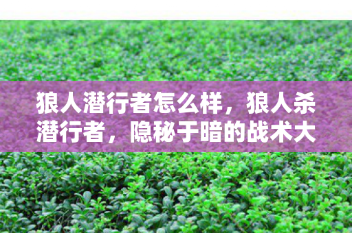 隐秘于暗的战术大师图片