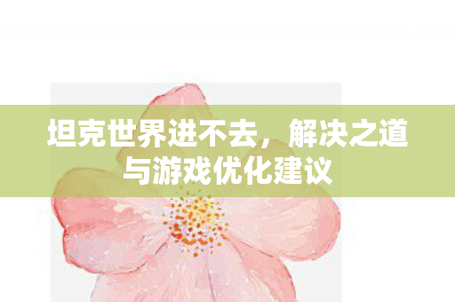 解决之道与游戏优化建议图片