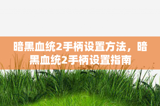 暗黑血统2手柄设置方法图片