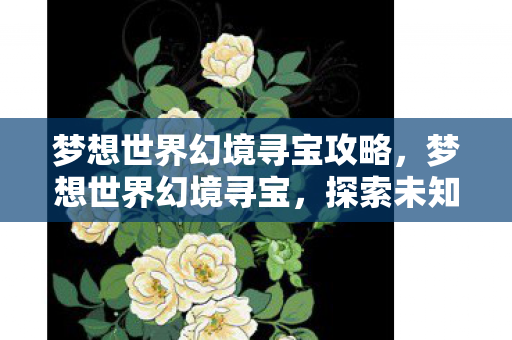 梦想世界幻境寻宝攻略图片
