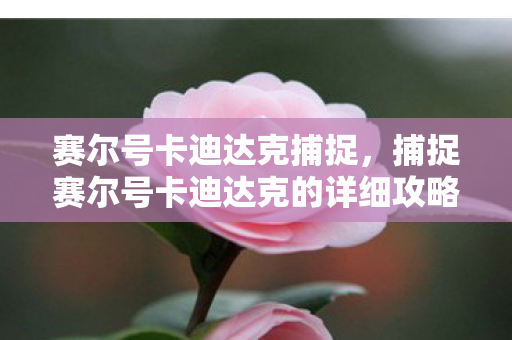 捕捉赛尔号卡迪达克的详细攻略图片