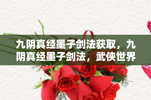 九阴真经墨子剑法获取图片