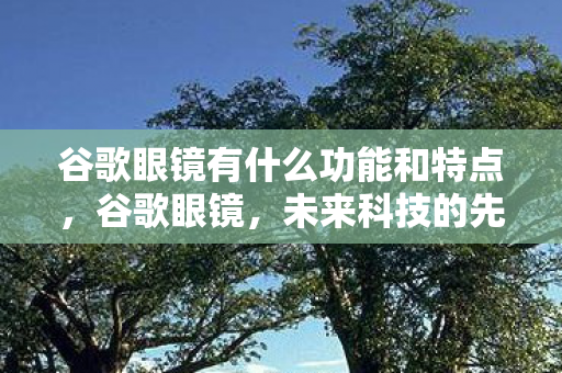 谷歌眼镜有什么功能和特点图片