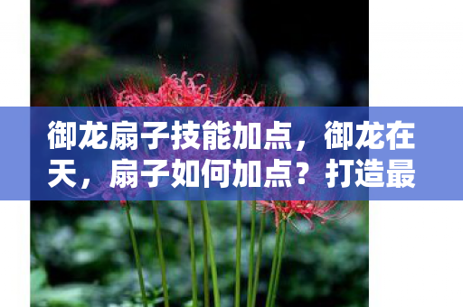 御龙扇子技能加点图片