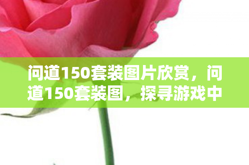 问道150套装图片欣赏图片