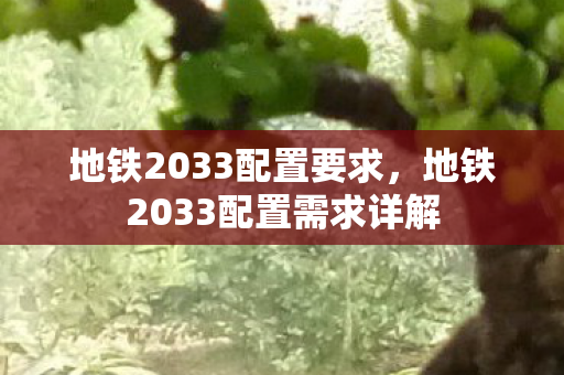 地铁2033配置需求详解图片