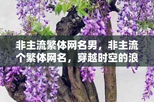 非主流繁体网名男图片