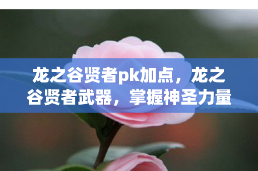 龙之谷贤者pk加点图片