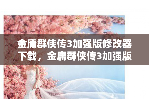 金庸群侠传3加强版修改器下载图片