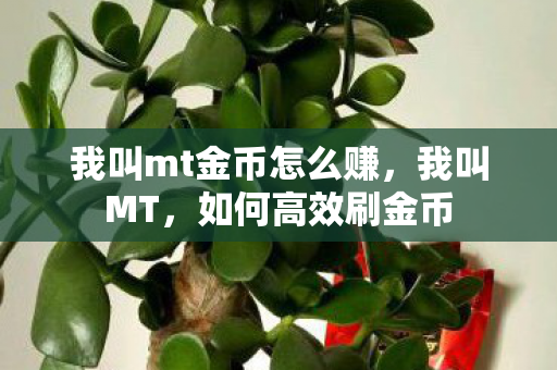 我叫mt金币怎么赚图片