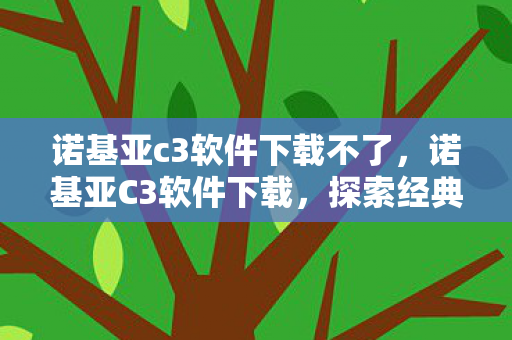 诺基亚c3软件下载不了图片